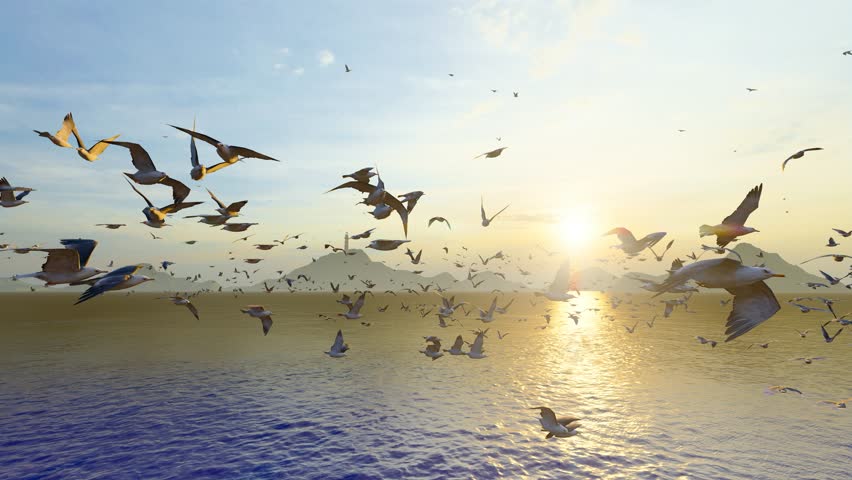 Flock of seagulls flying over the sea