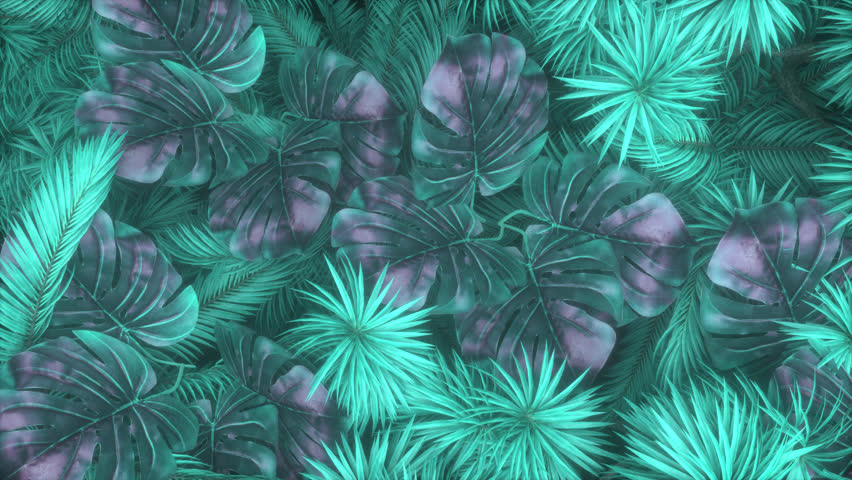 Background of pastel jungle plants moving in the wind in a loop animation. Top view of tropical nature foliage swaying in the wind.