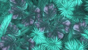 Background of pastel jungle plants moving in the wind in a loop animation. Top view of tropical nature foliage swaying in the wind. - Powered by Shutterstock - Get 15% off with code: PIKWIZARD15
