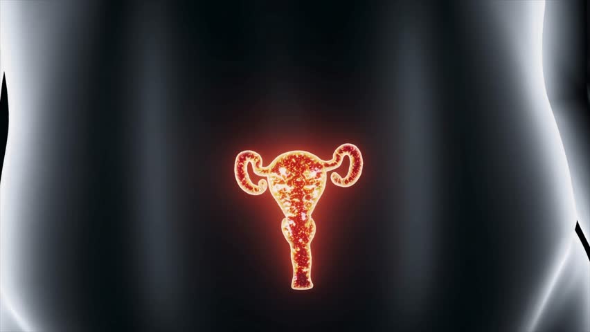CGI animation of a glowing human uterus, depicting fertility, sperm and egg interaction, pregnancy, and baby development during gestation.