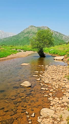 A seasonal creek and pond surrounded by green plains, oak forests, and majestic Zagros mountains under a clear blue sky.
📍Kani Kheyaran, Dezlli, Kurdistan