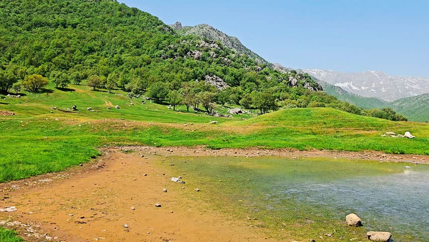 A seasonal creek and pond surrounded by green plains, oak forests, and majestic Zagros mountains under a clear blue sky.
📍Kani Kheyaran, Dezlli, Kurdistan