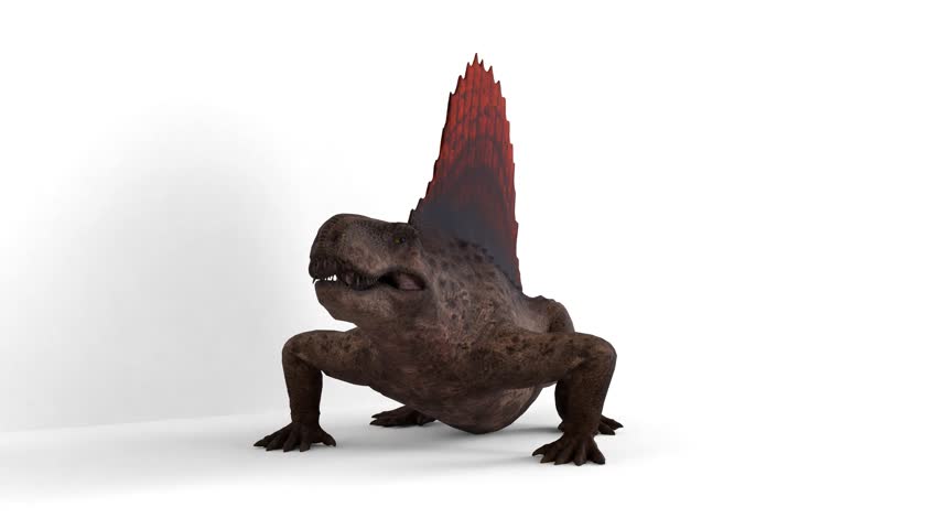 dimetrodon on white background 4k video.