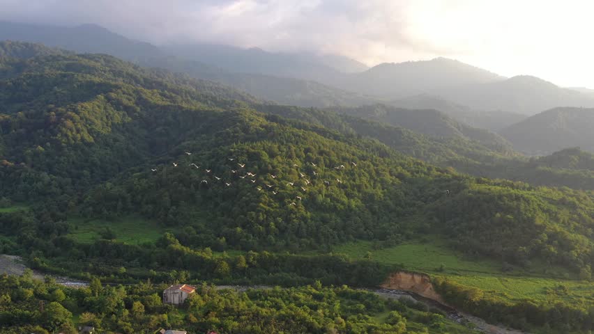 Aerial view of a Group of cranes flying at sunset with mountains and a river in the background