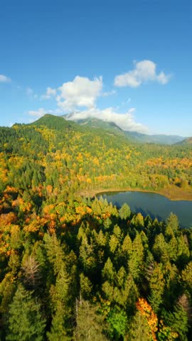 FPV Aerial view of colourful forest on mountain slopes and Harrison Lake. Canada