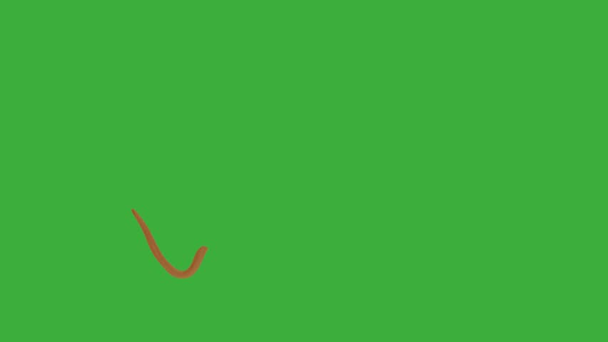 Shutterstock Video