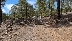 Mature partners hiking in tranquil forest, holding hands, romantic and healthy lifestyle in retirement, nature exploration, peaceful day, freedom and love in older age - Powered by Shutterstock - Get 15% off with code: PIKWIZARD15