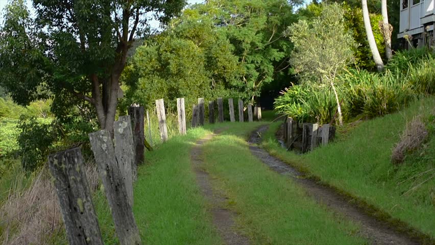 A view down an overgrown rural lane in the Sunshine Coast hinterland of Queensland with a tilt up to a magnificent old Queenslander home nestling on the hillside