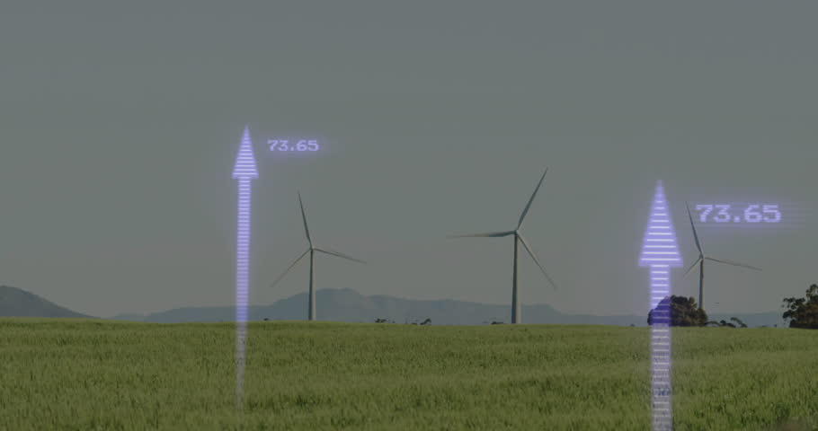 Shutterstock Video
