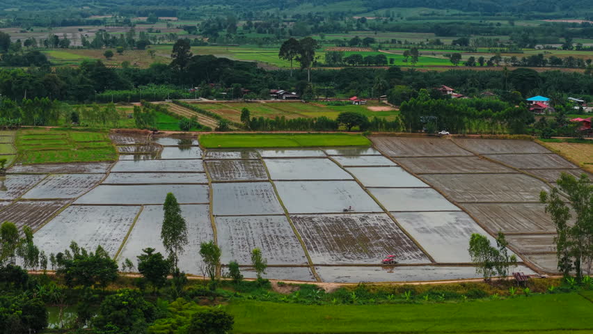 Lush green rice paddies cover the landscape showcasing Thailand's agricultural heartland