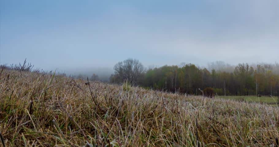4k mountain meadow timelapse at the autumn sunrise time. Wild nature and rural yellow grass field. heavy morning fog, sun rays and trees. Motorised dolly slider
