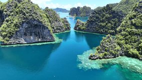 A healthy coral reef fringes rugged limestone islands in Misool, Raja Ampat, Indonesia. This area is known as the heart of marine biodiversity and is a popular destination for diving and snorkeling. - Powered by Shutterstock - Get 15% off with code: PIKWIZARD15
