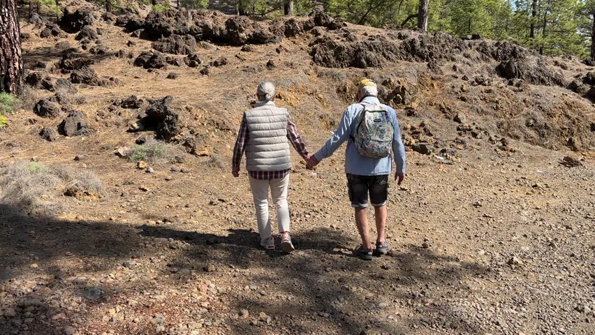 Elderly couple hiking together in scenic forest trail, enjoying nature, active lifestyle, fresh air, peaceful retirement, bonding and wellness in golden years during outdoor walk.
