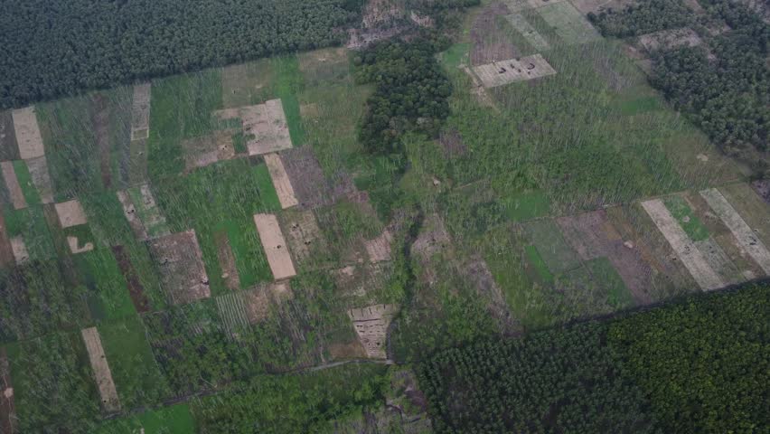 Aerial view of farmland and forest landscape with patches of cleared land, green fields, and distant mountains under cloudy sky. Rural scenery showing agriculture and deforestation.