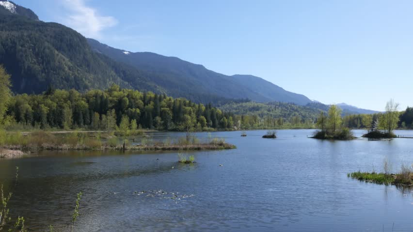 Cheam Lake Wetlands Regional Park during a spring season in Rosedale, Fraser Valley, British Columbia, Canada