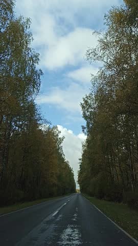 Asphalt road lined with birch trees on both sides, stretching into the distance under a clear autumn sky with clouds, capturing motion, seasonal beauty, and a sense of speed and direction