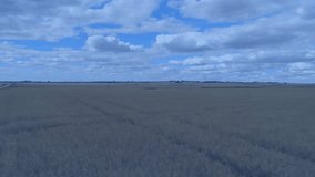 Retro flat design FLASH SALE graphic floating over grassy field, featuring halftone dots, spirals. Vibrant, nostalgic, playful, colorful, energetic, advertising, marketing - Powered by Shutterstock - Get 15% off with code: PIKWIZARD15