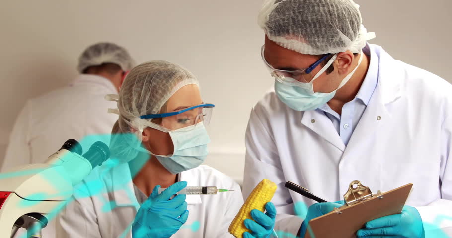 two scientists injecting corn cob and recording biotech data in lab, with molecular overlays. Research, innovation, biotechnology, experimentation, science, precision, teamwork