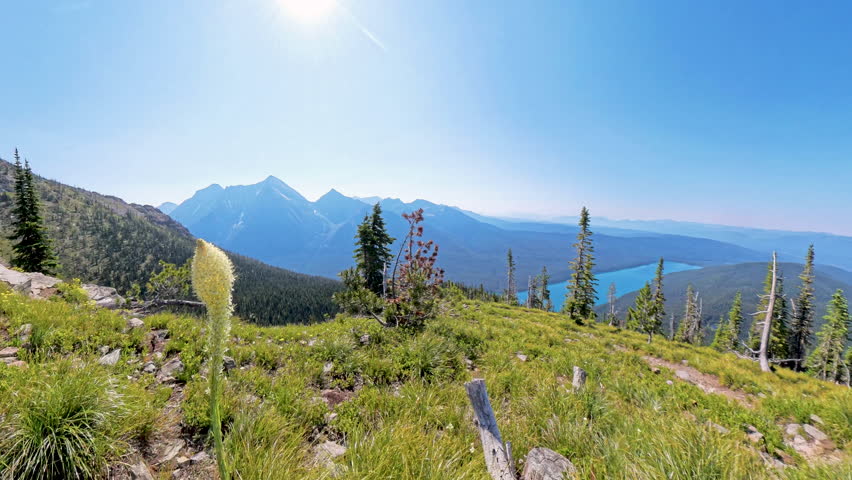Bear Grass and Blowing Wind in Glacier National Park