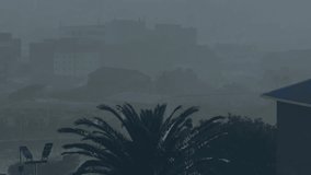 Digital stock ticker showing symbols with percentages and moving yellow graphs beneath palm fronds. Financial data, market trends, investment analysis, modern technology, urban landscape, analytical, - Powered by Shutterstock - Get 15% off with code: PIKWIZARD15