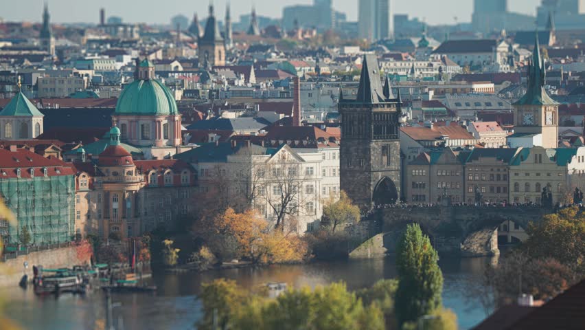 Shutterstock Video