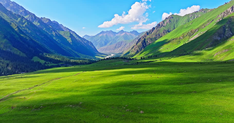 Majestic green mountain valley landscape with lush meadows under a blue sky. Beautiful grassland pasture scenery in Xinjiang, China.