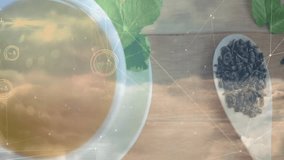 Green tea cup with mint leaves floating top-down on wooden table, showing overlay in flat design. Herbal, wellness, modern, organic, health, minimalist, digital - Powered by Shutterstock - Get 15% off with code: PIKWIZARD15