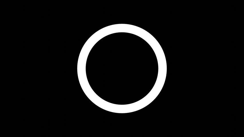 Shutterstock Video