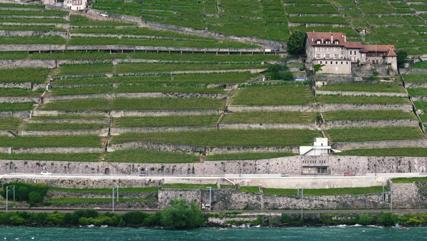 Slow Tracking Shot of Vineyards and Freeway Near Lake Geneva, Switzerland