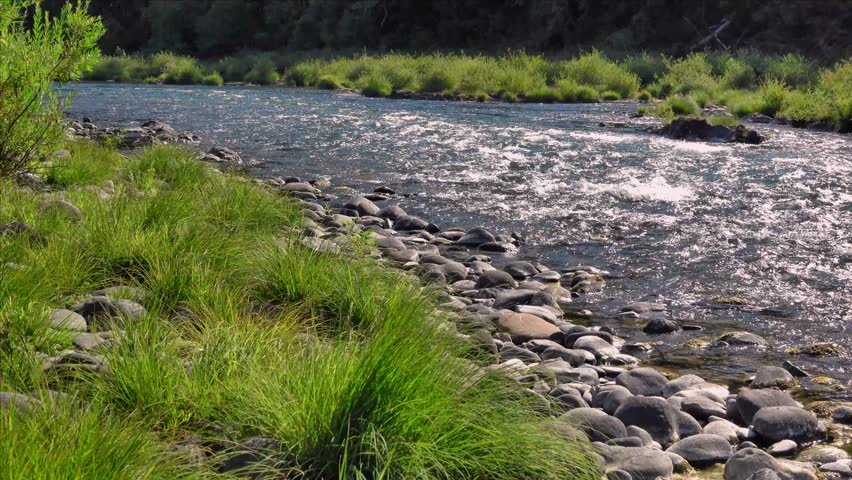 Serene River Landscape with Rocky Banks and Lush Vegetation