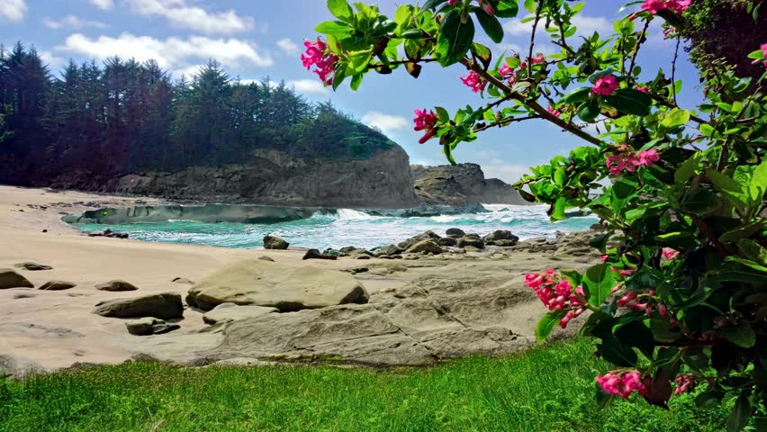 Secluded Cove Beach Scene with Blooming Flowers
