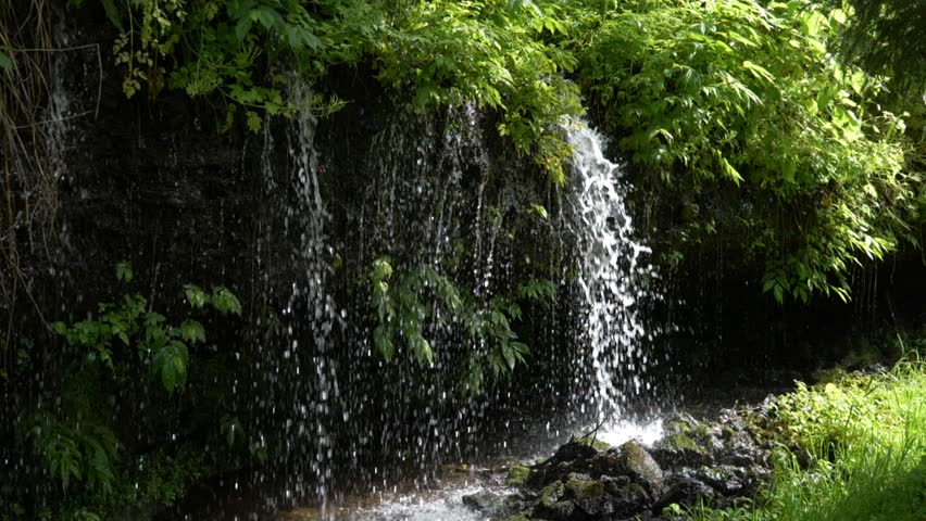 Fresh Water Falling at a Small Waterfall in a Forest (Slow Motion)