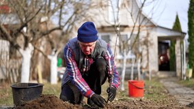 Hard-working mature male farmer planting a little tree. Man thumbing ground around the sprout. - Powered by Shutterstock - Get 15% off with code: PIKWIZARD15