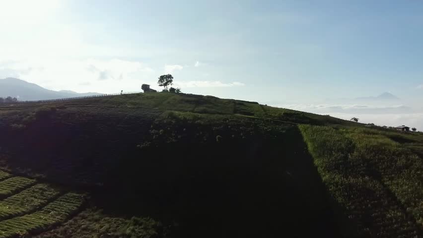Beautiful view of farmland. Hill area, foot of mount arjuna.