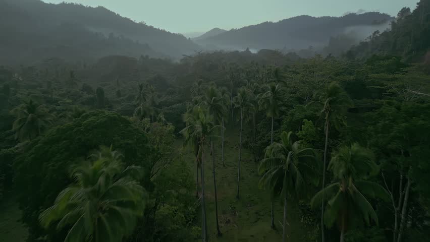 Hilly green Phlippines forest landscape on misty day, forward aerial