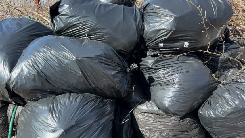 Black garbage bags are waiting to be collected by sanitation after cleaning day
