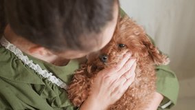 Overhead view of woman in green dress affectionately engaging with fluffy brown puppy as she touches its neck trying to catch attention while puppy turns head and gazes up in response - Powered by Shutterstock - Get 15% off with code: PIKWIZARD15