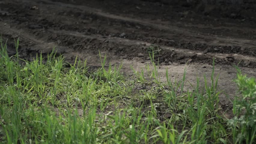 Blue Tractor Works with Yellow Grader and Levels the Field Road - The Result of Grading the Road