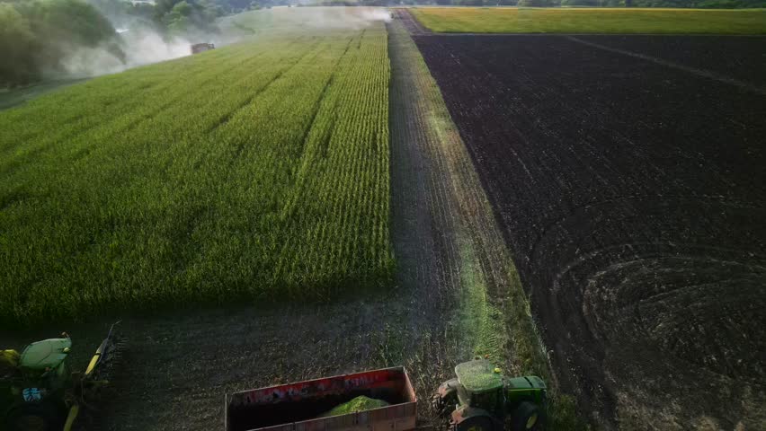 Corn Silage Harvesting Process - Forage Harvester on the Corn Field and Combine Harvesting Corn