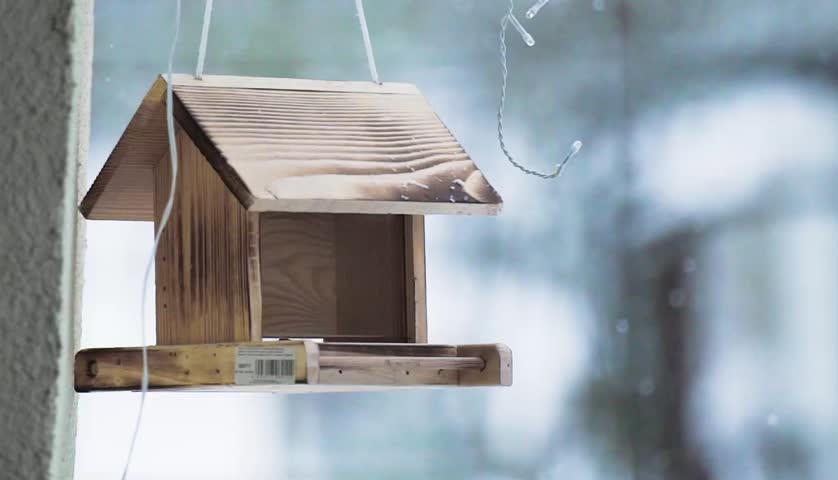 A bird (great tit) flying into a birdhouse during snow I Christmas time