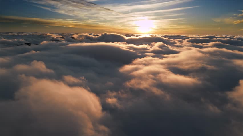 Shutterstock Video