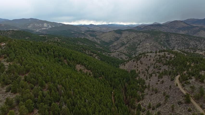 Stormy weather on horizon away from dense evergreen forest tree stand by dirt road in Colorado