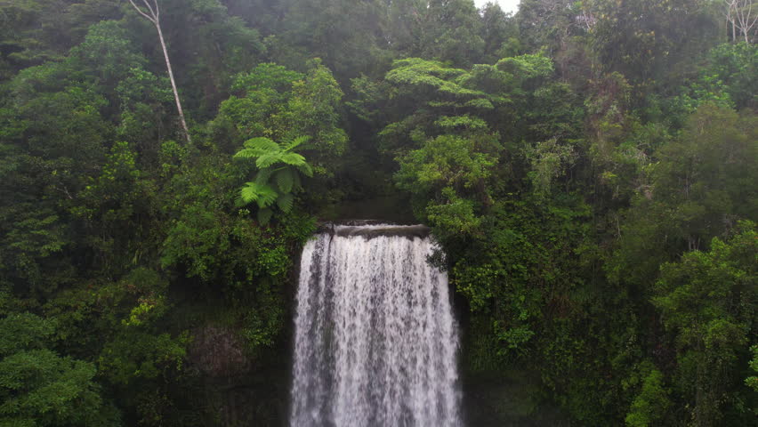 Aerial View of Millaa Millaa Falls and Green Rainforest, Queensland, Australia