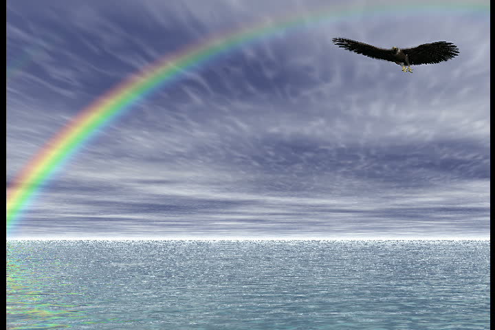 Eagle Flying