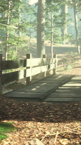 old wooden bridge over a small stream in a park