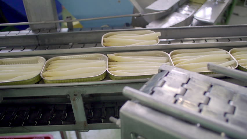  process of sorting, cleaning, and packaging white asparagus in a factory setting. Workers and automated machinery collaborate to ensure the asparagus is processed efficiently and hygienically