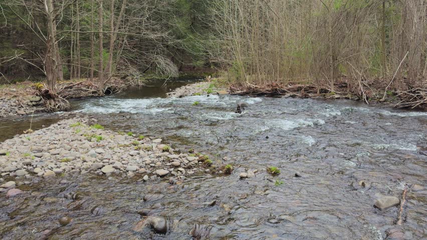 Trout fishing stream in the beautiful Catskill mountains during spring