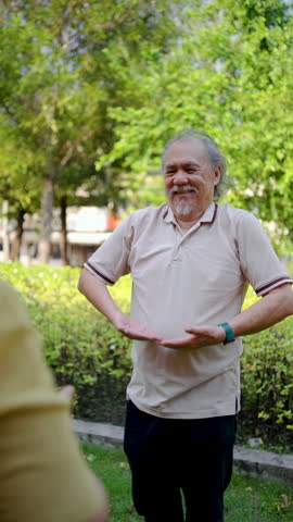 In a serene park setting, an elderly asian couple embraces the tranquility of morning as they engage in graceful Tai Chi movements, enhancing their physical and mental wellness together.