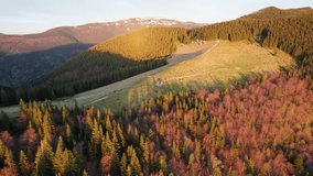 Aerial image of stunning Ukrainian landscape at sunrise, with rolling hills covered in forests. Solitary cabin sits near winding path, with distant snow-capped mountains enhancing picturesque scene. - Powered by Shutterstock - Get 15% off with code: PIKWIZARD15