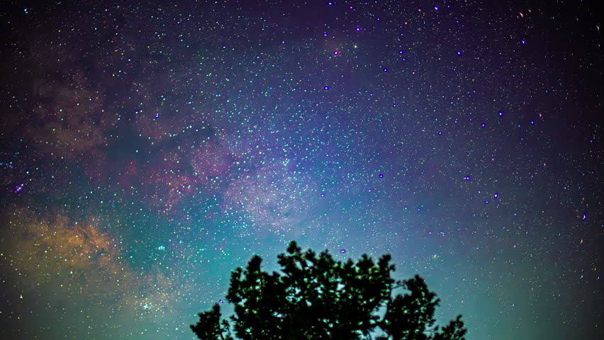 Starry night sky rotates into milky way bands above tree as airplanes fly past